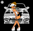 chickncar.jpg