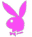 pbunny.gif