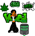 wdgrl2.jpg